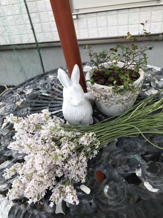 ニットブラウス