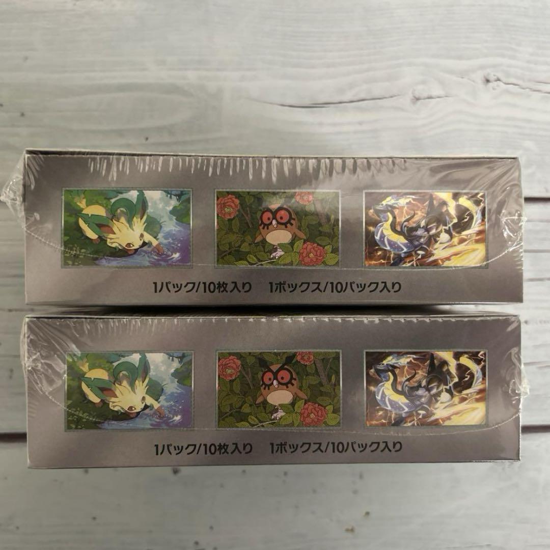 ポケモンカード テラスタルフェスex 2box