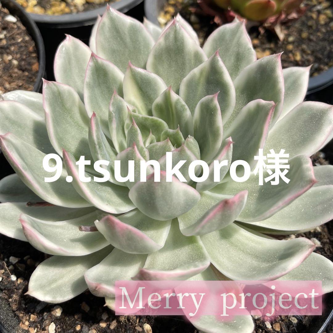 9.tsunkoro様