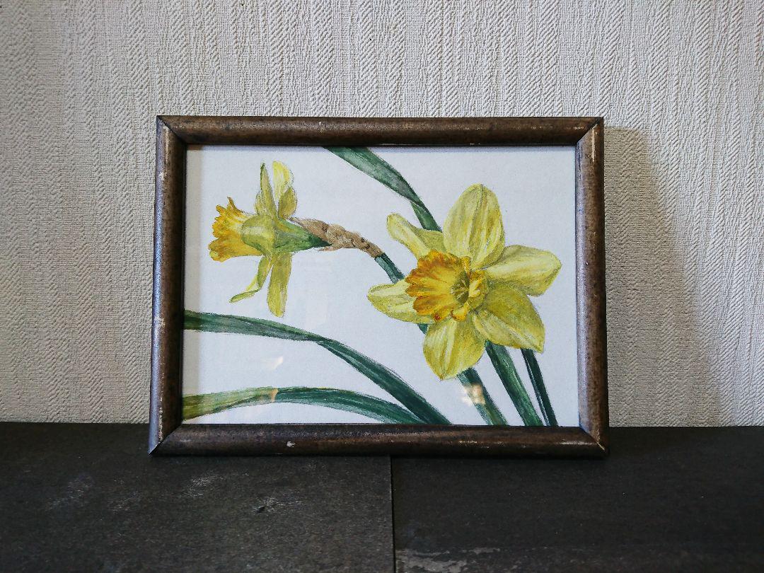 メルカリ 水仙 スイセン 水彩画 木製額つき 絵画 タペストリ 1 0 中古や未使用のフリマ