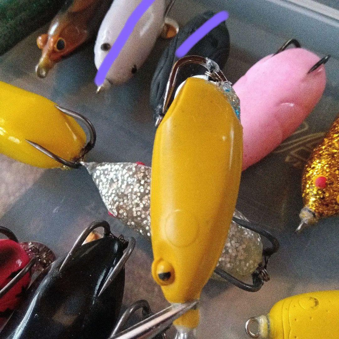 雷魚　フロッグ　ロデオクラフト　ウィップラッシュファクトリー　フィネス等色々