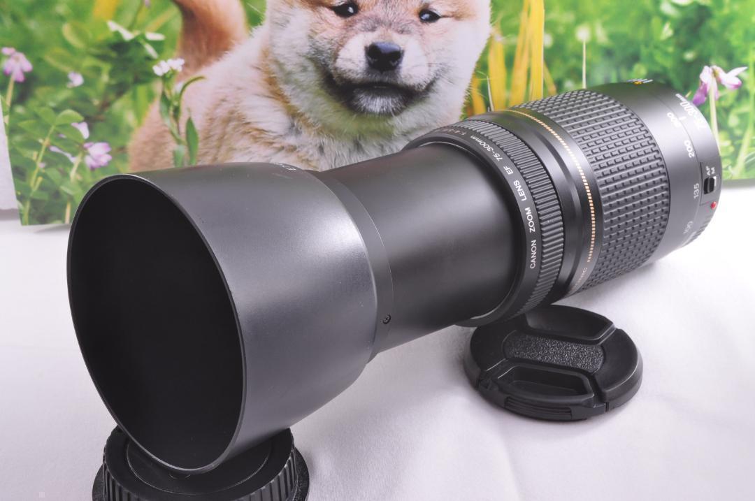 Canon EF75-300mm キヤノン 望遠レンズ 各種イベントに大活躍！