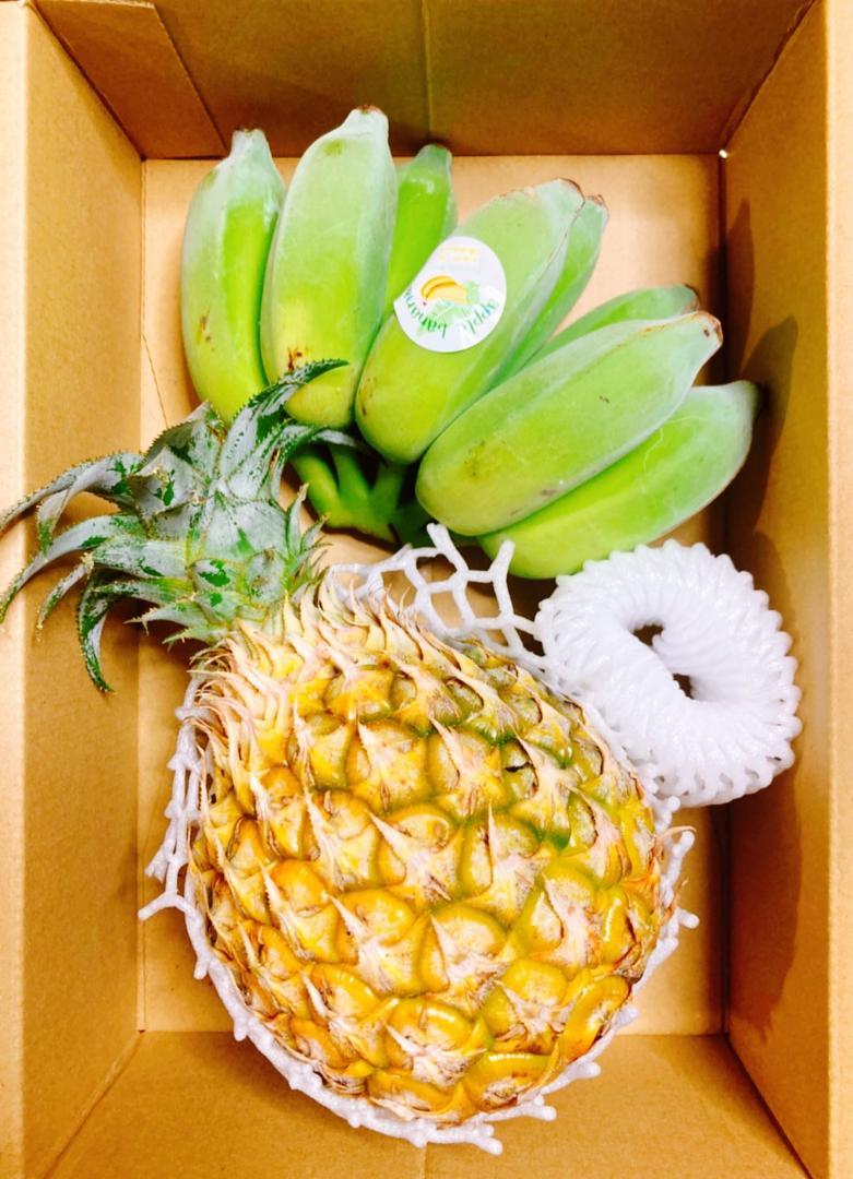 いーさん　ナムワバナナ、島バナナ、スナックパインの苗セット！ いーさん ナムワバナナ、島バナナ、スナックパインの苗セット！