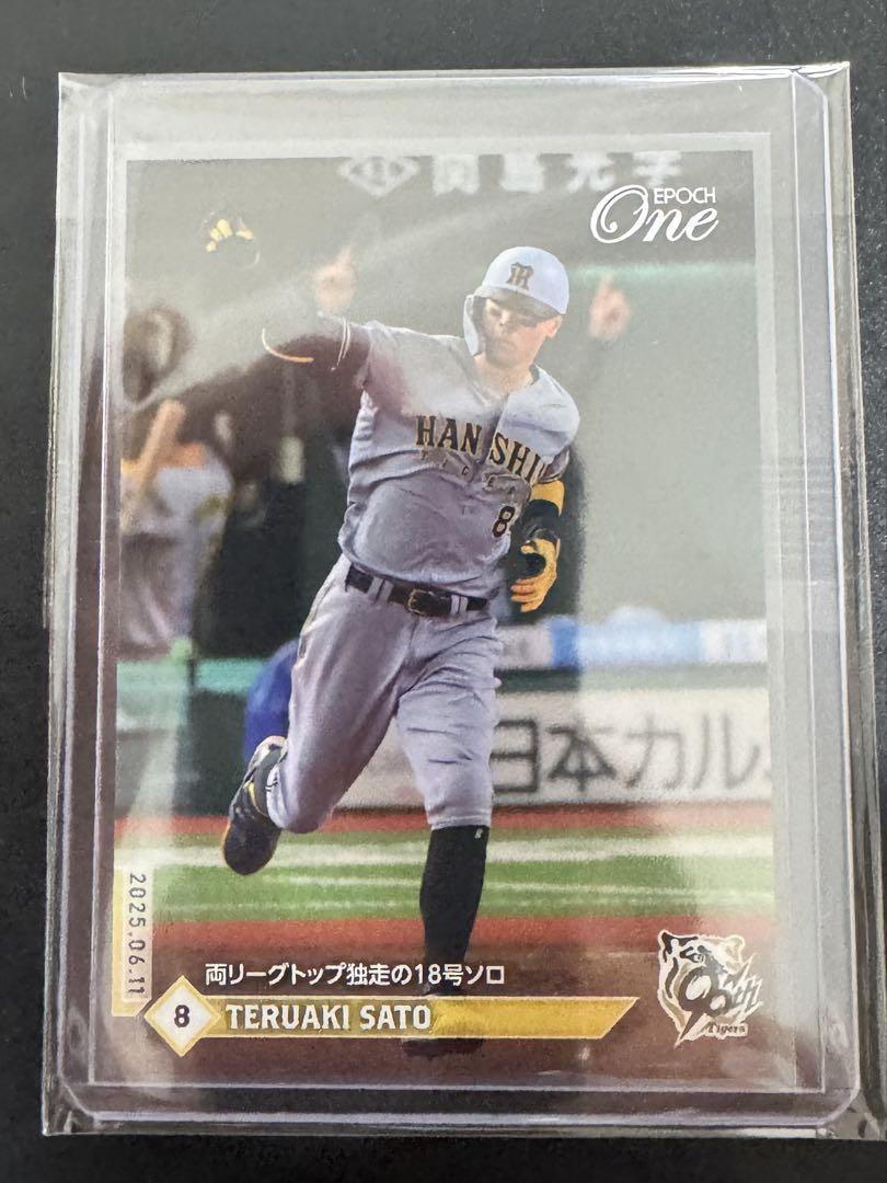 エポックワン 佐藤輝明 両リーグトップ独走の18号ソロ 阪神