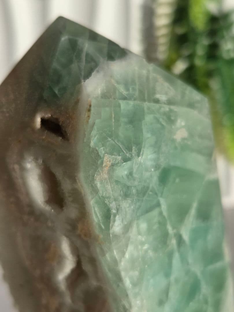 グリーンフローライトポイントタワー