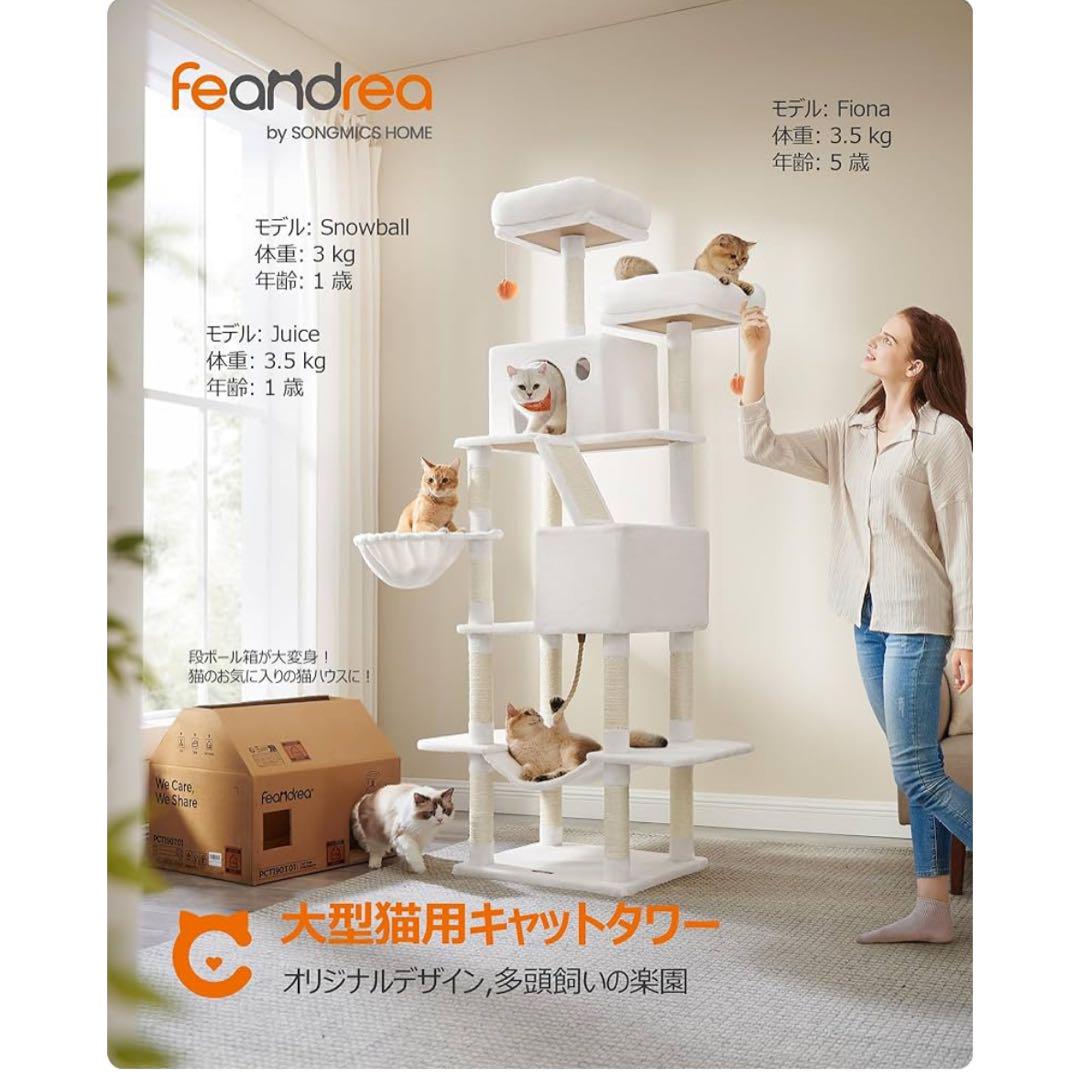 FEANDREA