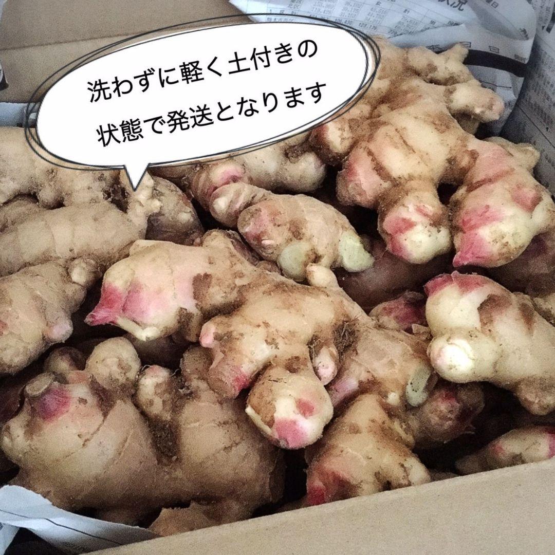 サナ様専用 新生姜 農薬肥料不使用 熊本県産 10kg