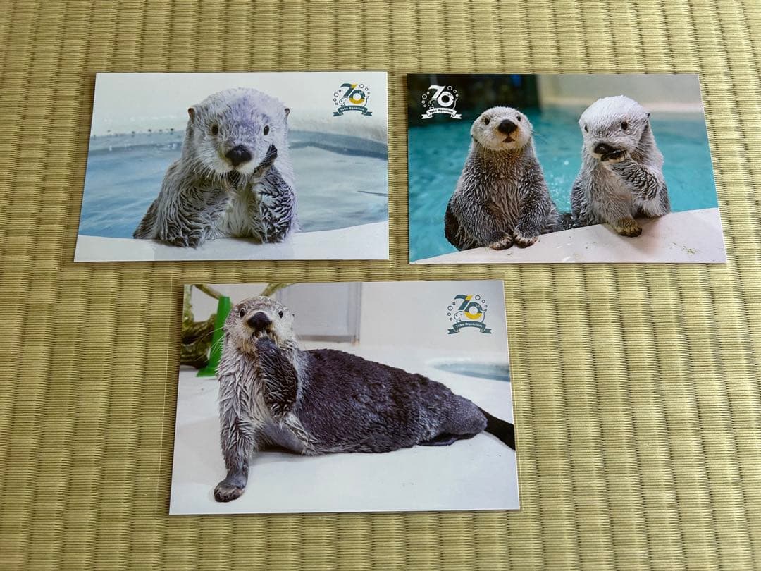 鳥羽水族館】 70周年記念グッズ ラッコ メイちゃん キラちゃん 10点