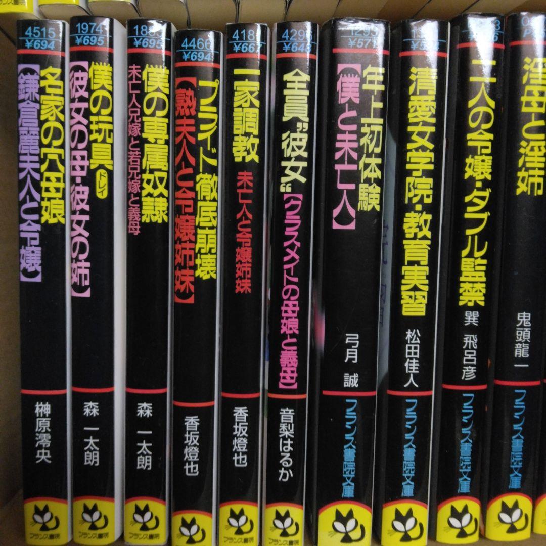 ⑲フランス書院文庫【したがり通い嫁 】ほか　小説全30冊セット