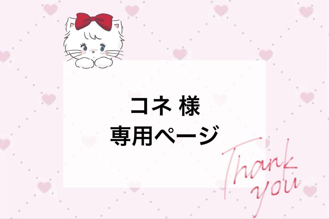 コネ様 オーダーページ 23,666円