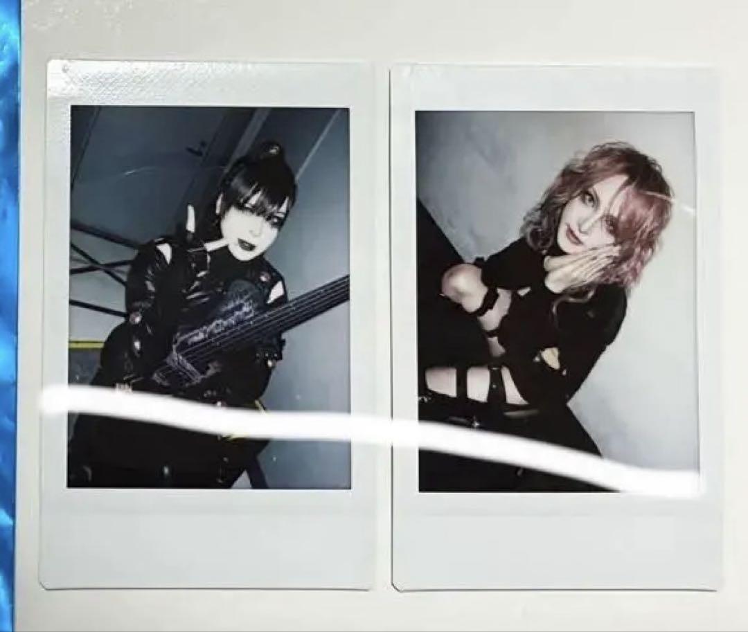 JILUKA Boogie チェキ　(サイン入り) JILUKA Boogie チェキ在庫 処分