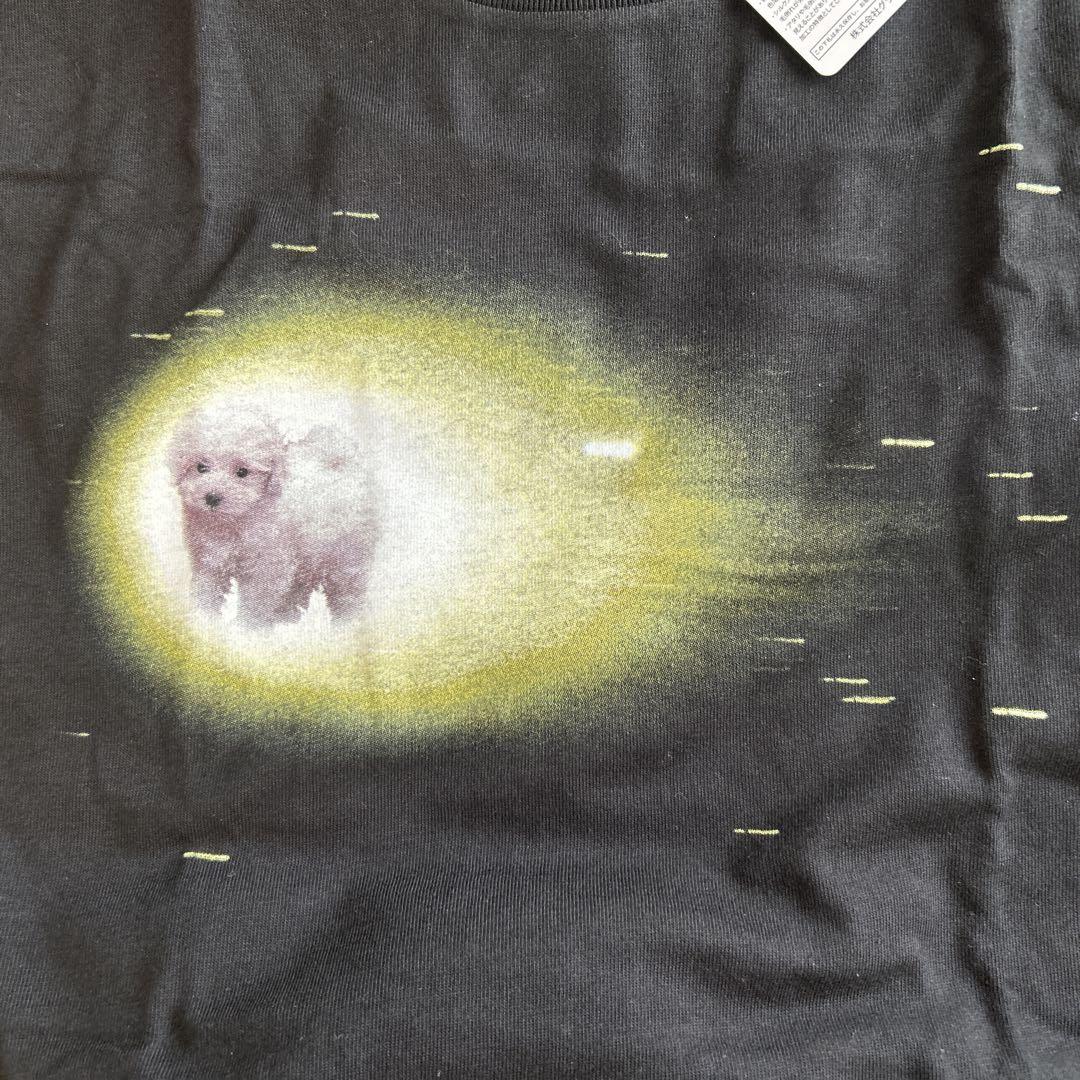 graniph トイプードル柄Tシャツ　家族3枚セット