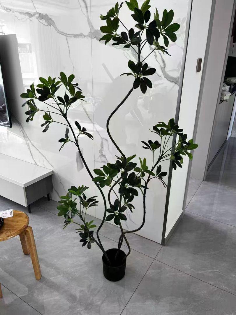 約150cm