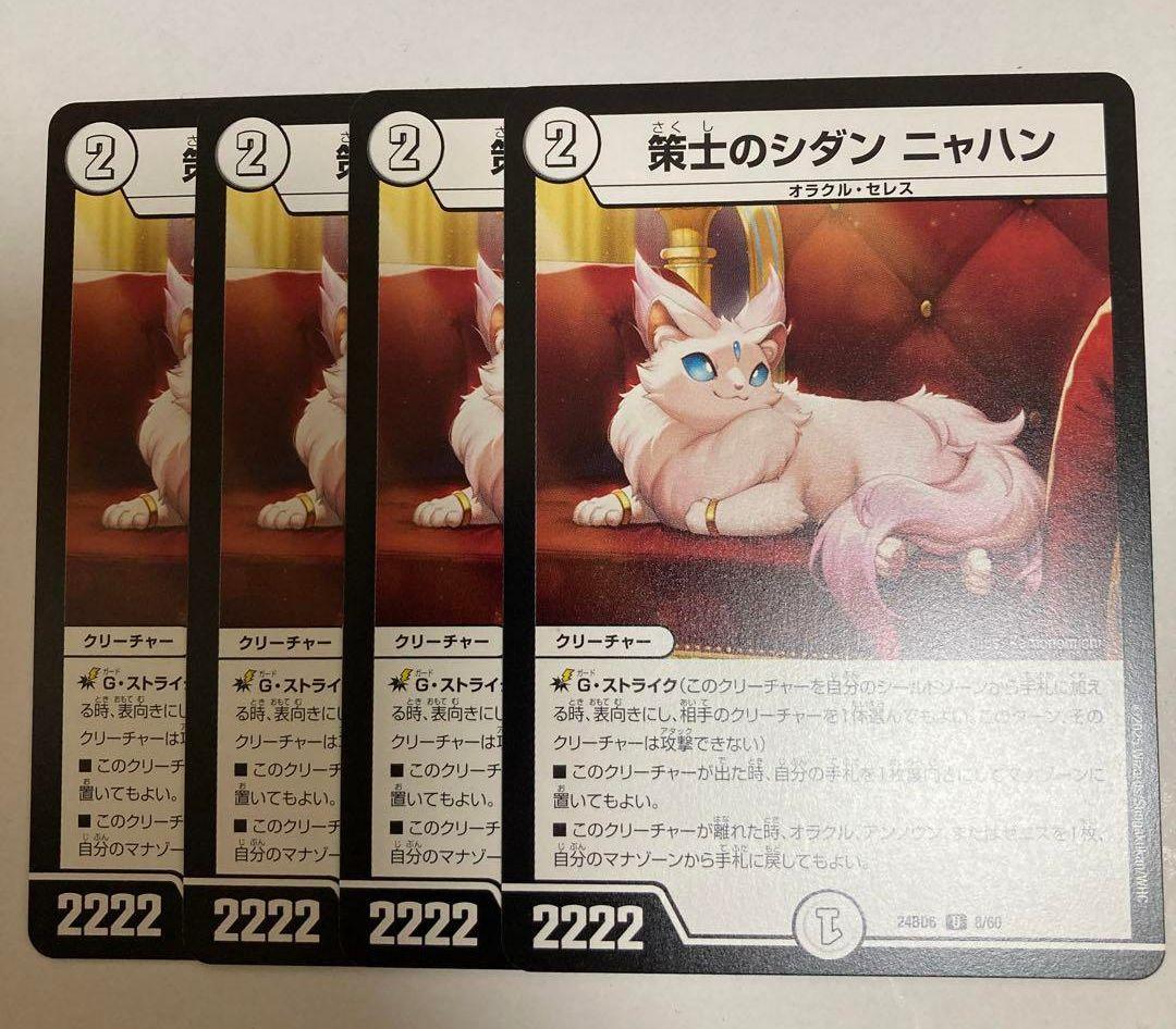 魔光神官ルドルフアルカディア