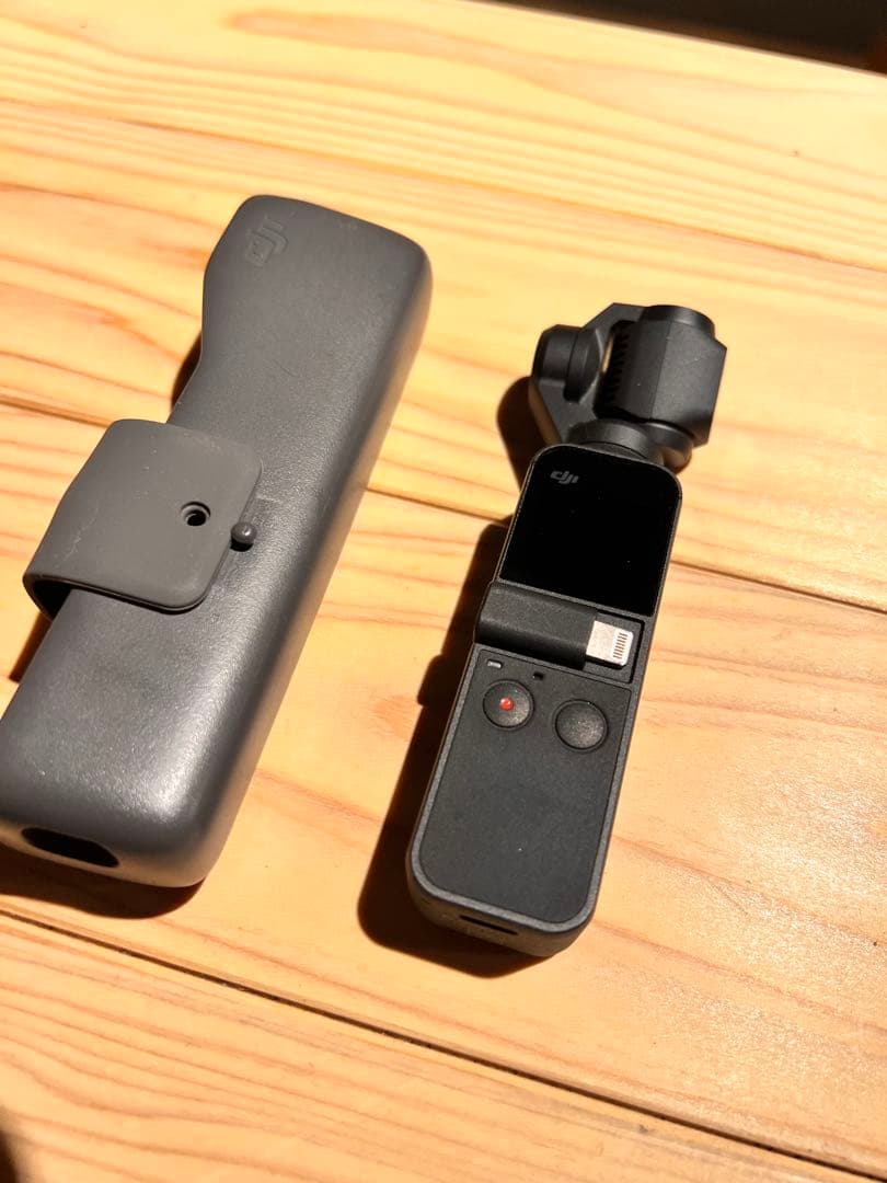 本血赤珊瑚等原木色々 149g 東Y7-0828①タニサ 日本でしか採れ