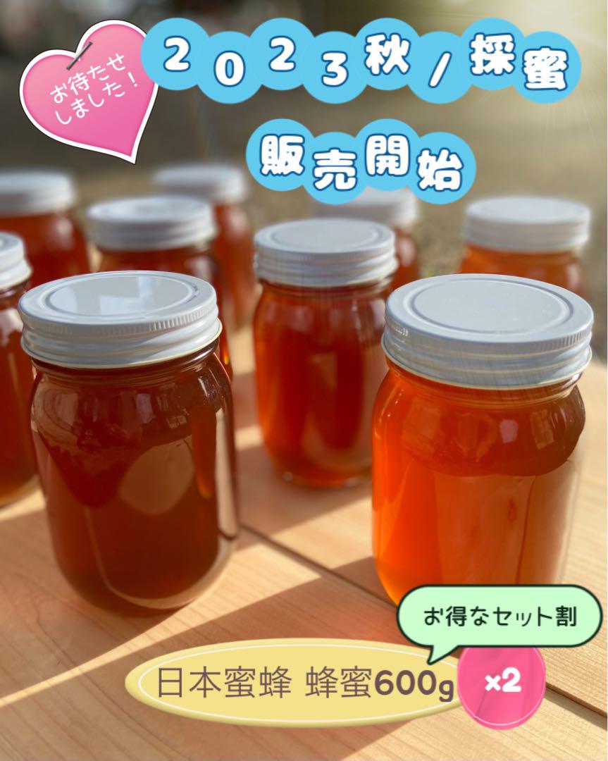 日本蜜蜂 純正ハチミツ 宮崎産 600g×2 得割セット