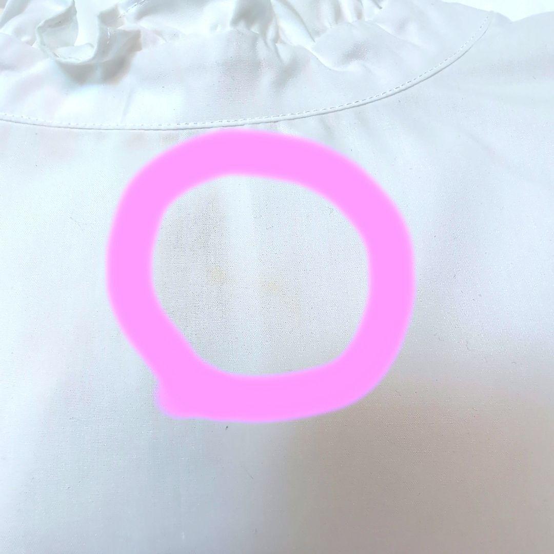 確認用ブラウス 450,000円