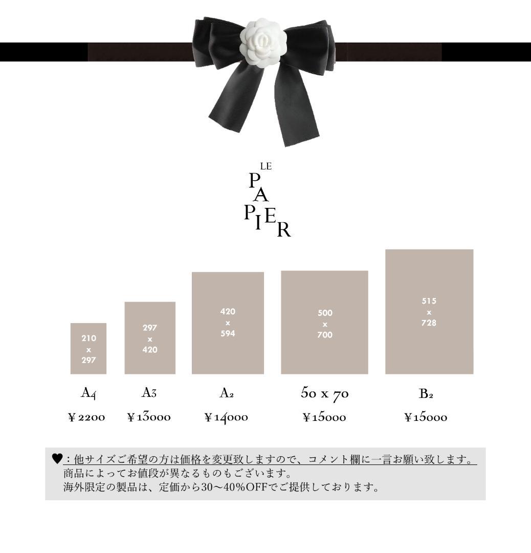 【B2】Dior ポスター インテリア ディオール モノトーン 海外限定 英字
