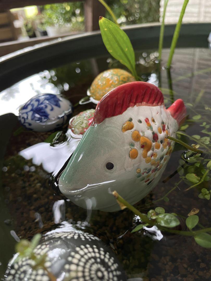熱販売 6点 浮球＊ 陶器 ビオトープ メダカ鉢 置物 浮き玉 浮き球 水槽