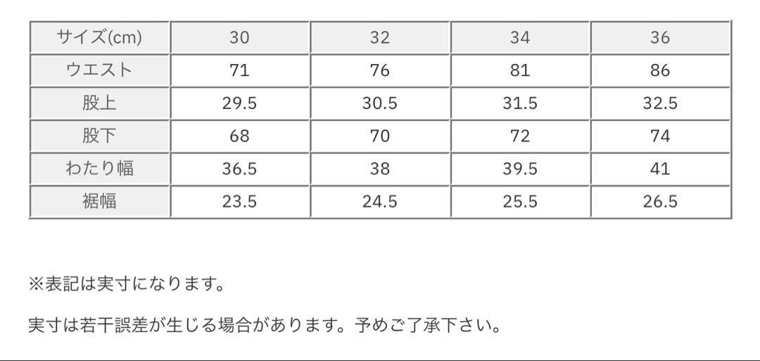 ザノースフェイス THE NORTH FACE パンツ　パープルレーベル