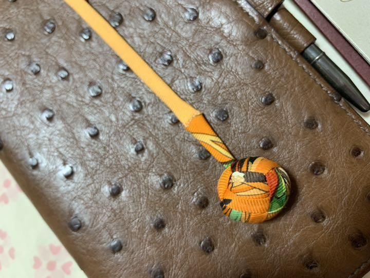 HERMES オーストリッチ 手帳カバー チャーム ペン 付き ヴィジョン