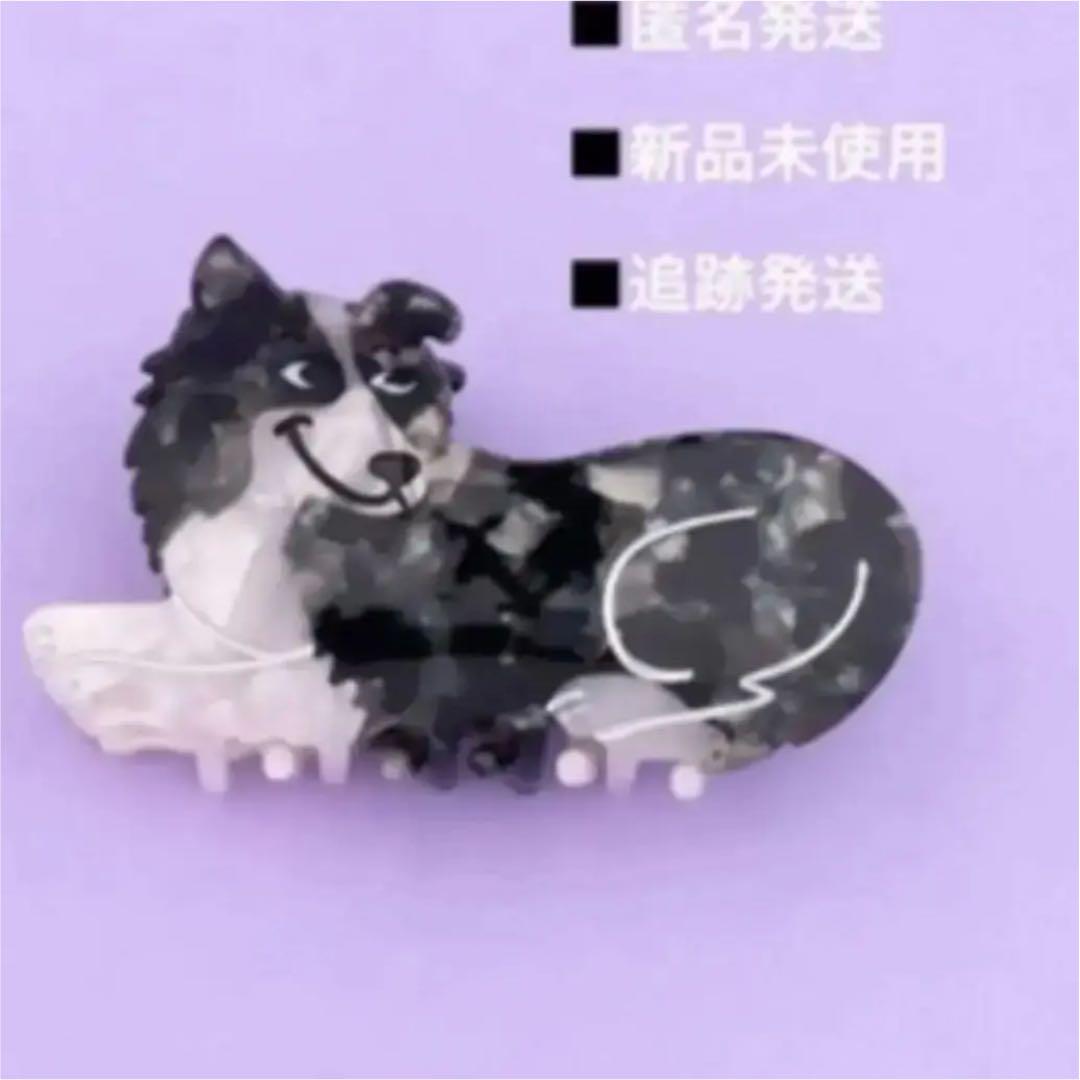 Coucou Suzette ククシュゼット ボーダーコリー