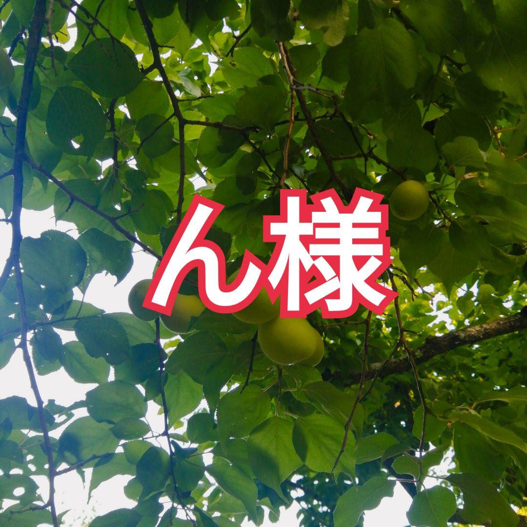 ん様
