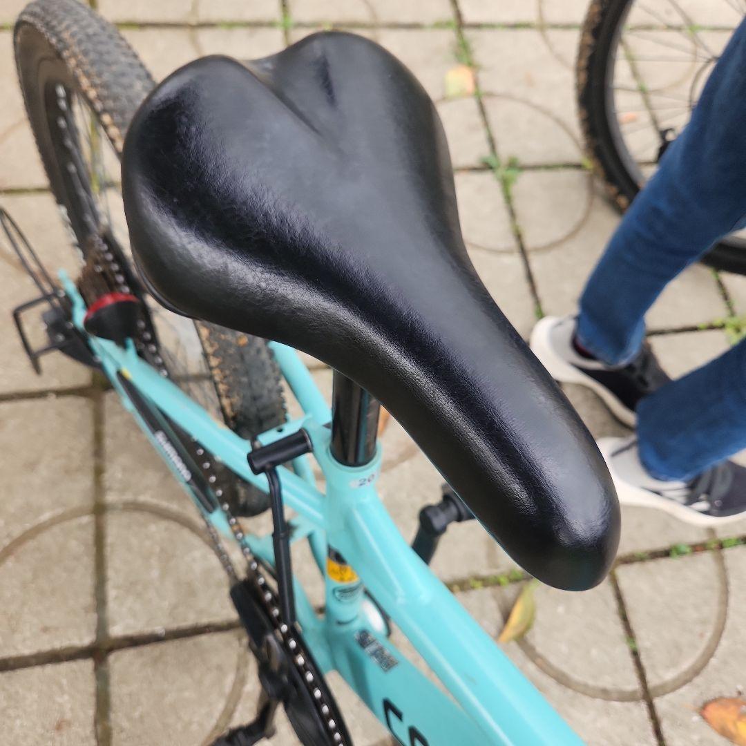 自転車　coghorn マウンテンバイク 20  COGHORN