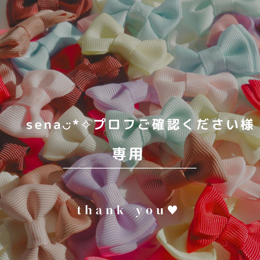 sena◡̈*✧プロフご ください様 おまとめ ヘアクリップ ヘアピン