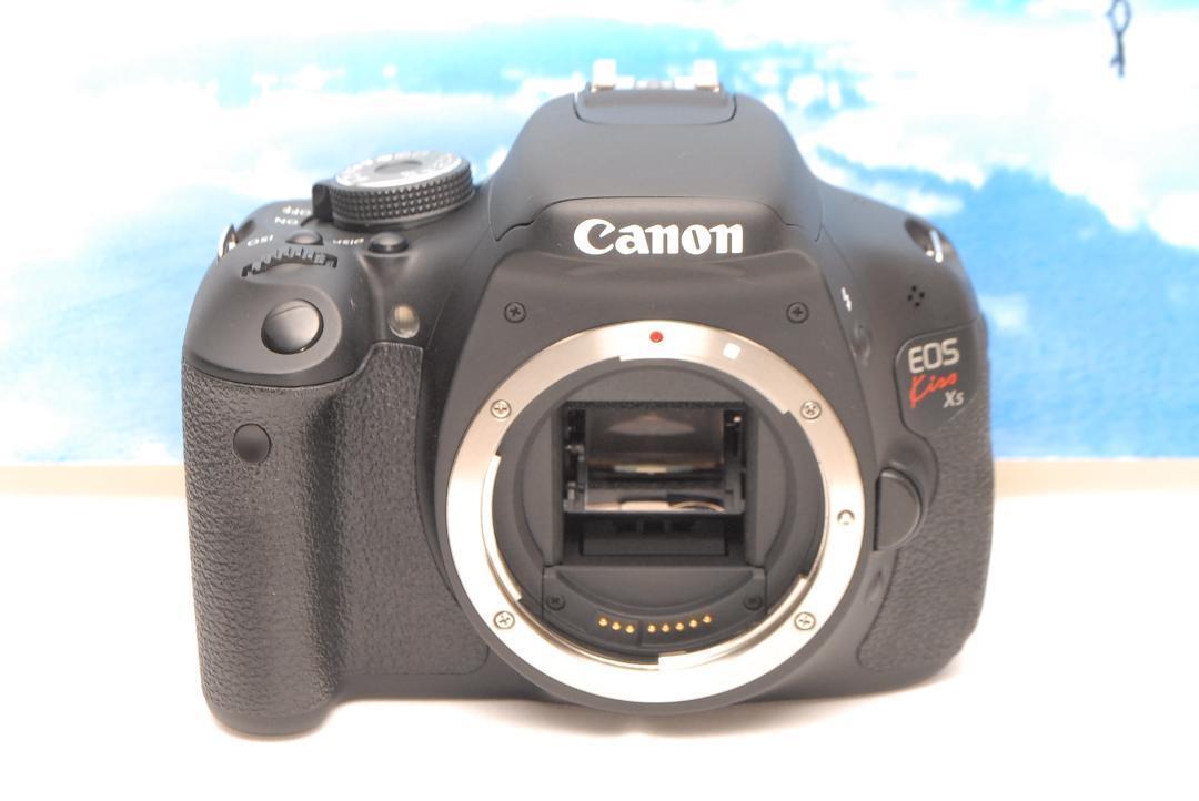 ✨美品・箱付き✨Canon EOS Kiss X5 初心者 すぐ使える セット