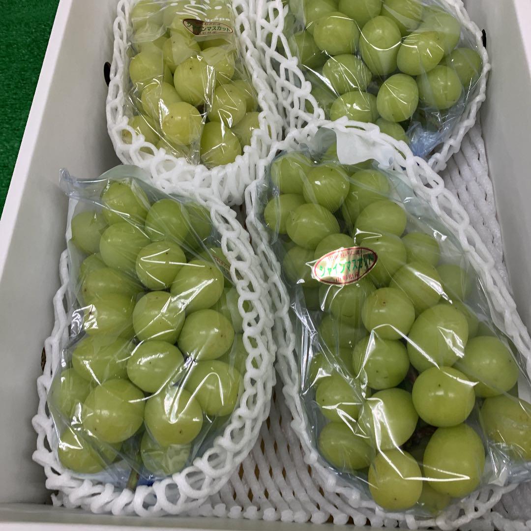 よまる様専用出品※青森県産まっしぐら 精米済み 5kg