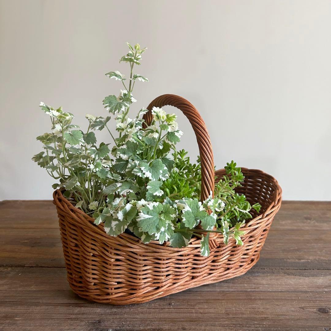 ラタン 籐バスケット 小ぶりサイズ パンやお菓子入れにも 今年の新作