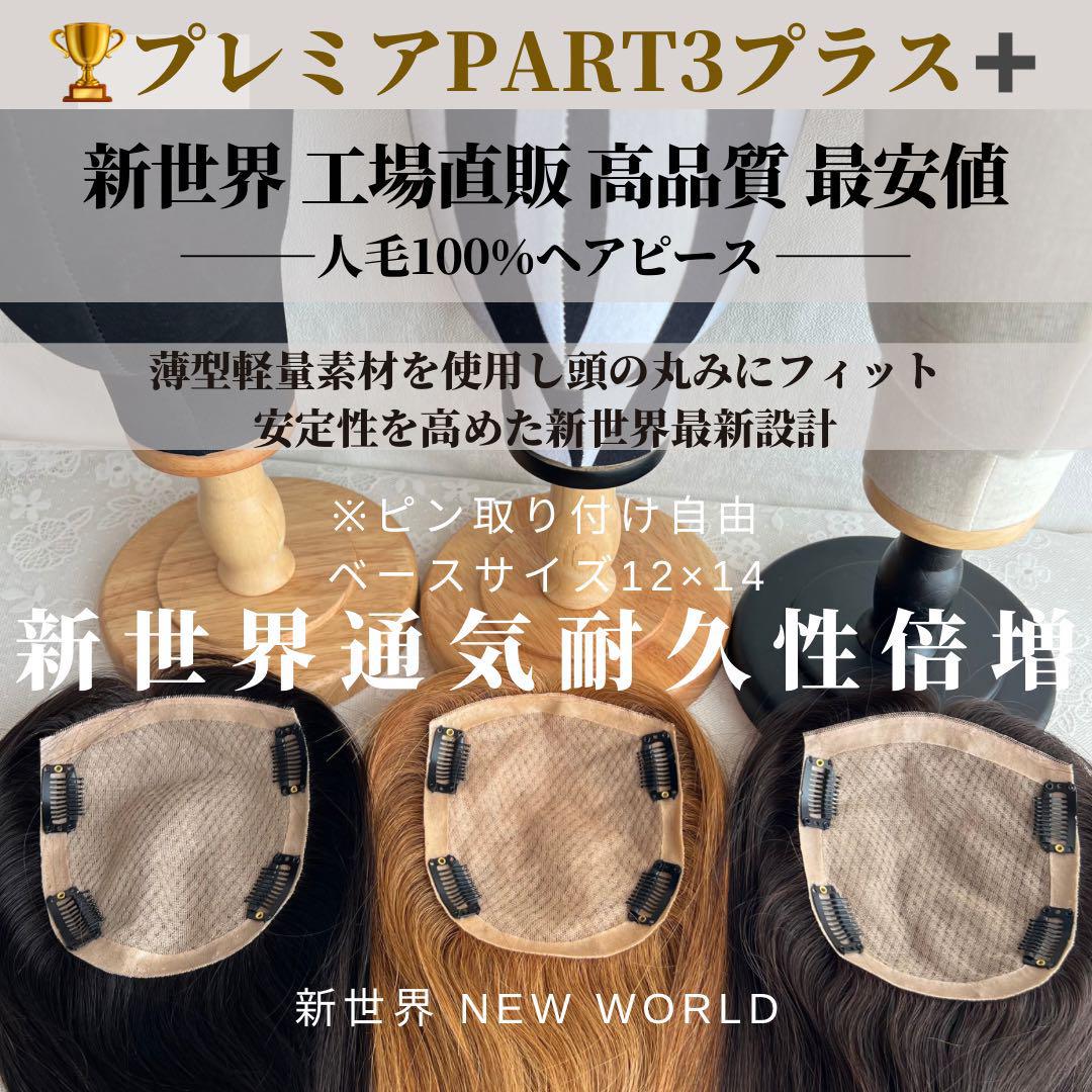 部分ウィッグ