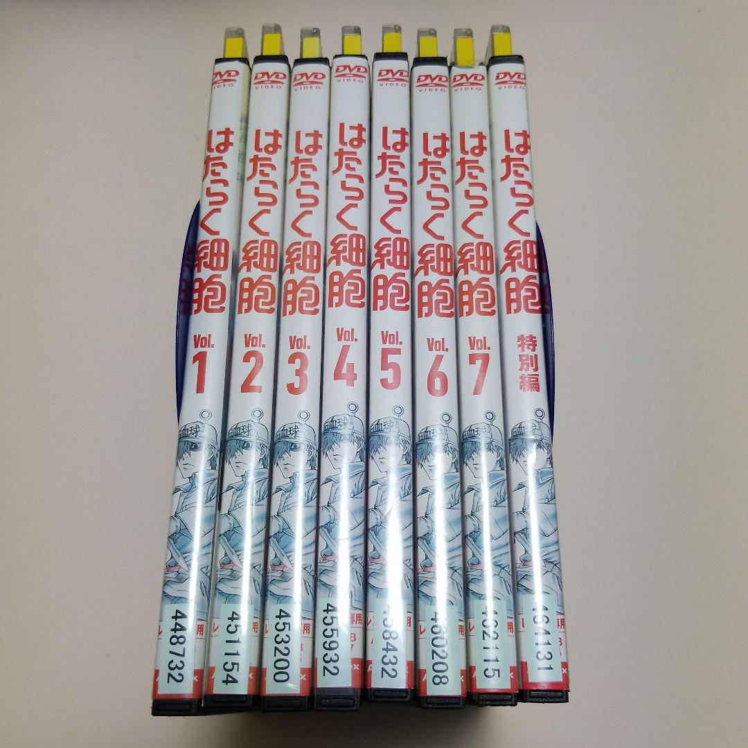 全巻セット　はたらく細胞 1～7巻+特別編　DVD