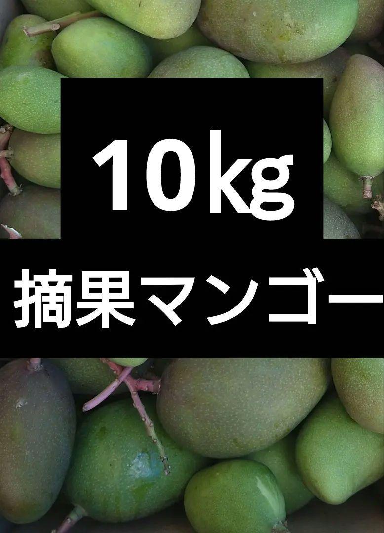 摘果マンゴー 10〜20g 10kg（若者の大愛商品 グリーンマンゴー