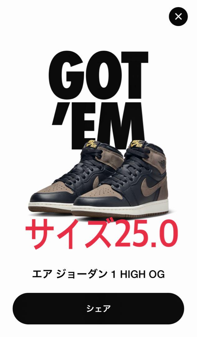 エアジョーダンNike Air Jordan 1 Retro High OG