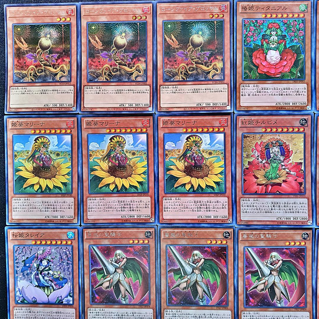 十六夜アキ　ローズドラゴン　デッキ Bibian 比比昂 - 遊戯王 構築済み 十六夜アキ イメージ ローズ