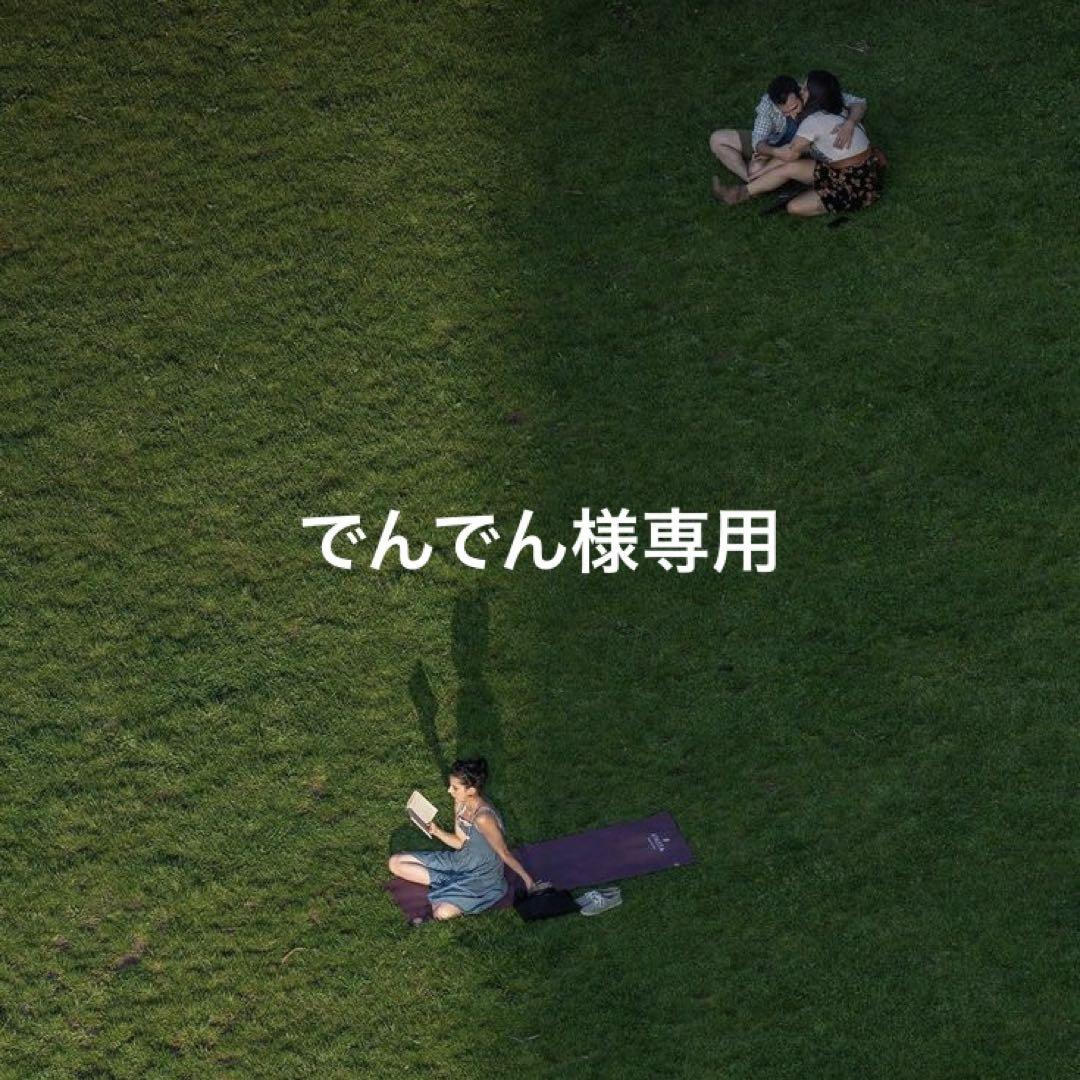 でんでん様専用
