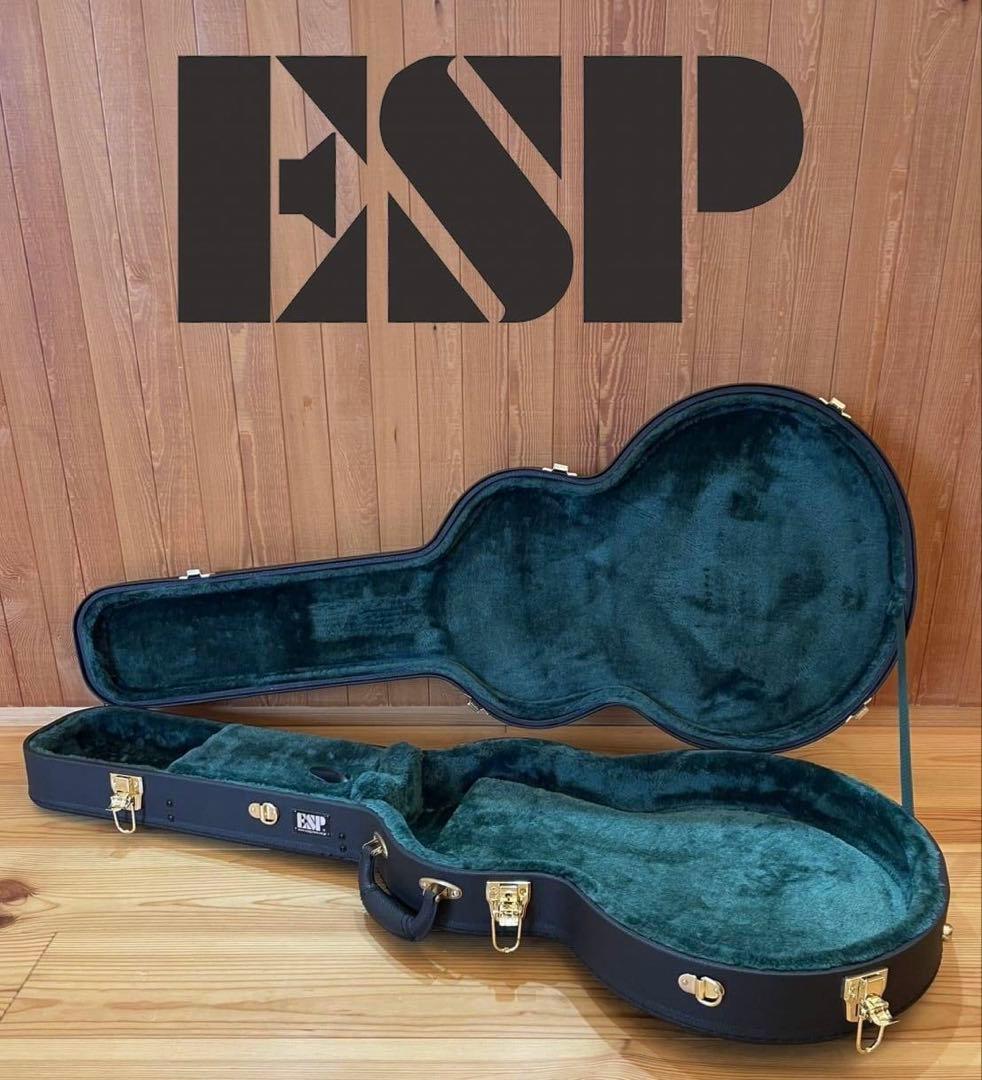 美品 ESP セミアコ / セミホロウ用 ハードケース