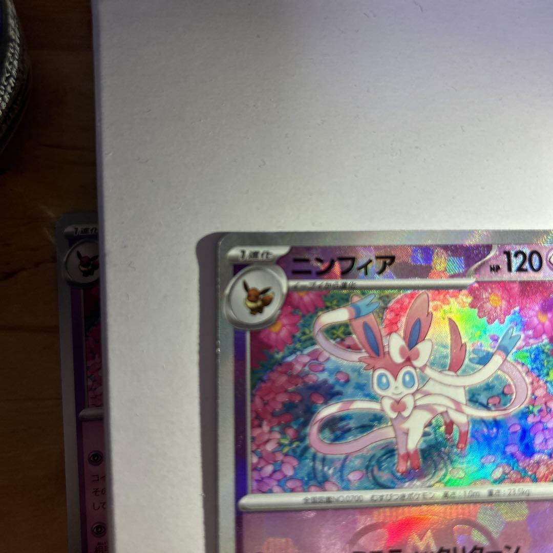 ● ポケモンカードテラスタルフェス