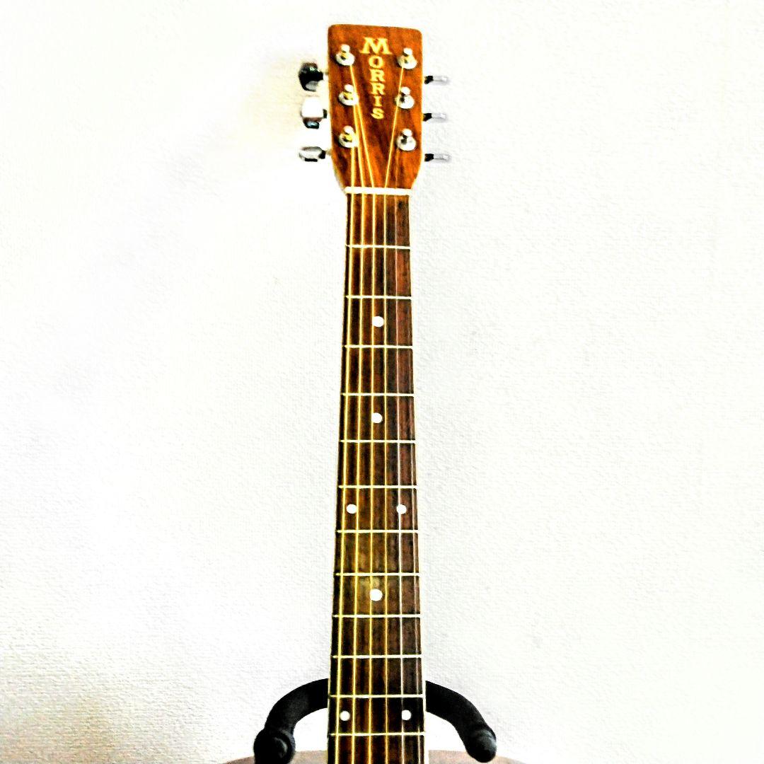 MORRIS　W-35　モーリス　ビィンテージ　トップ単板