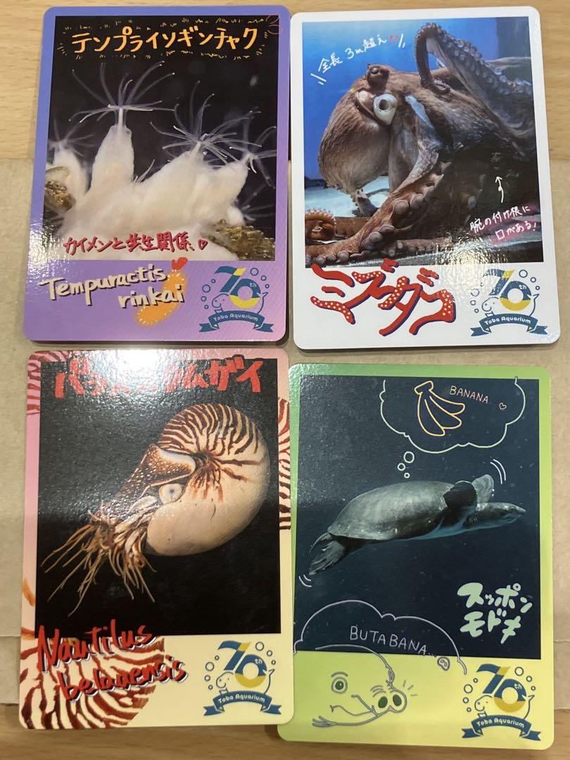レア】鳥羽水族館 シールくじ 当たり 缶バッジ メイちゃん キラ