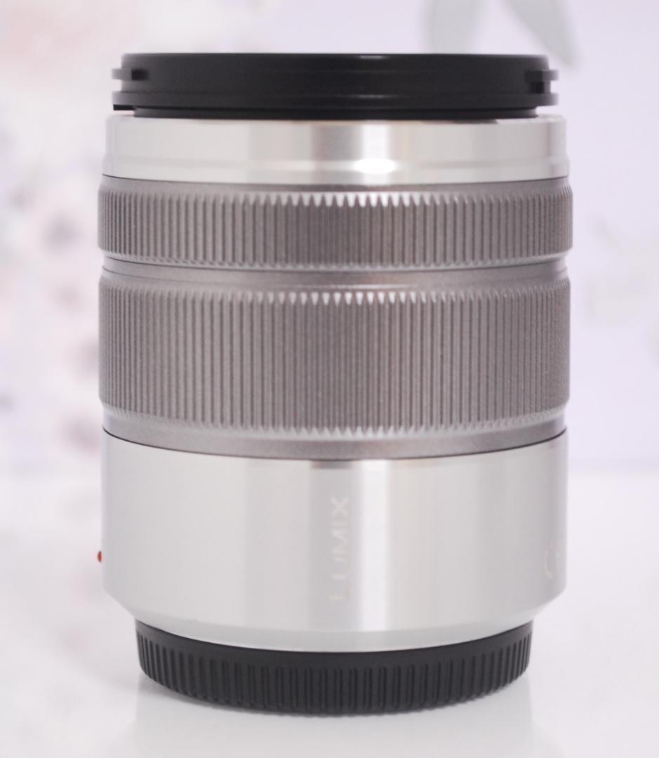通販生活 ファッション イベントなどで大活躍の望遠レンズ☆パナソニック 45-150mm VARIO G レンズ(ズーム)