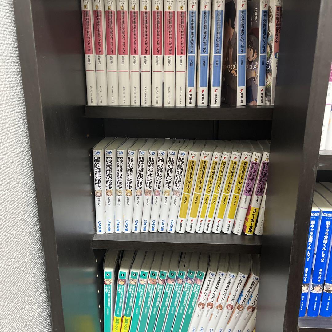 ライトノベル
