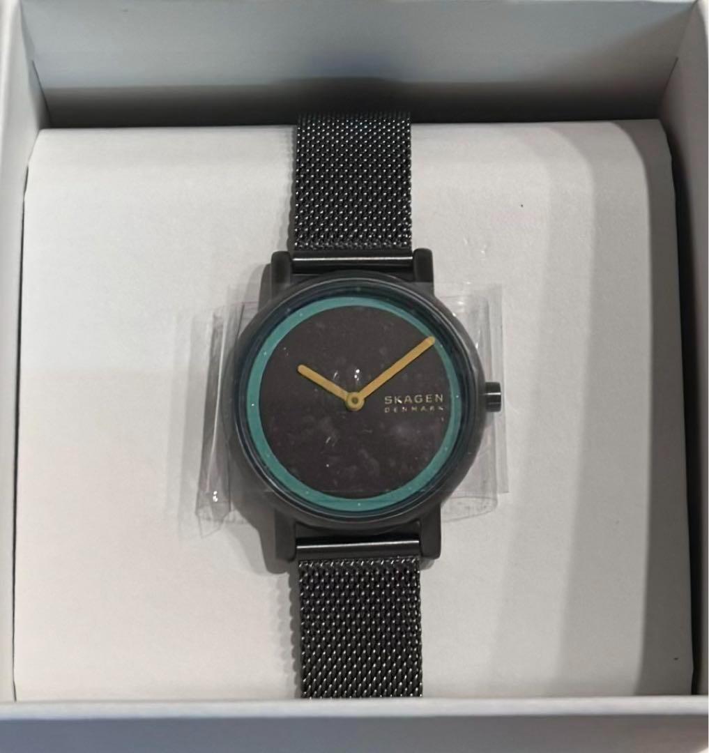 SKAGEN スカーゲン SIGNATUR LILLE SKW3118