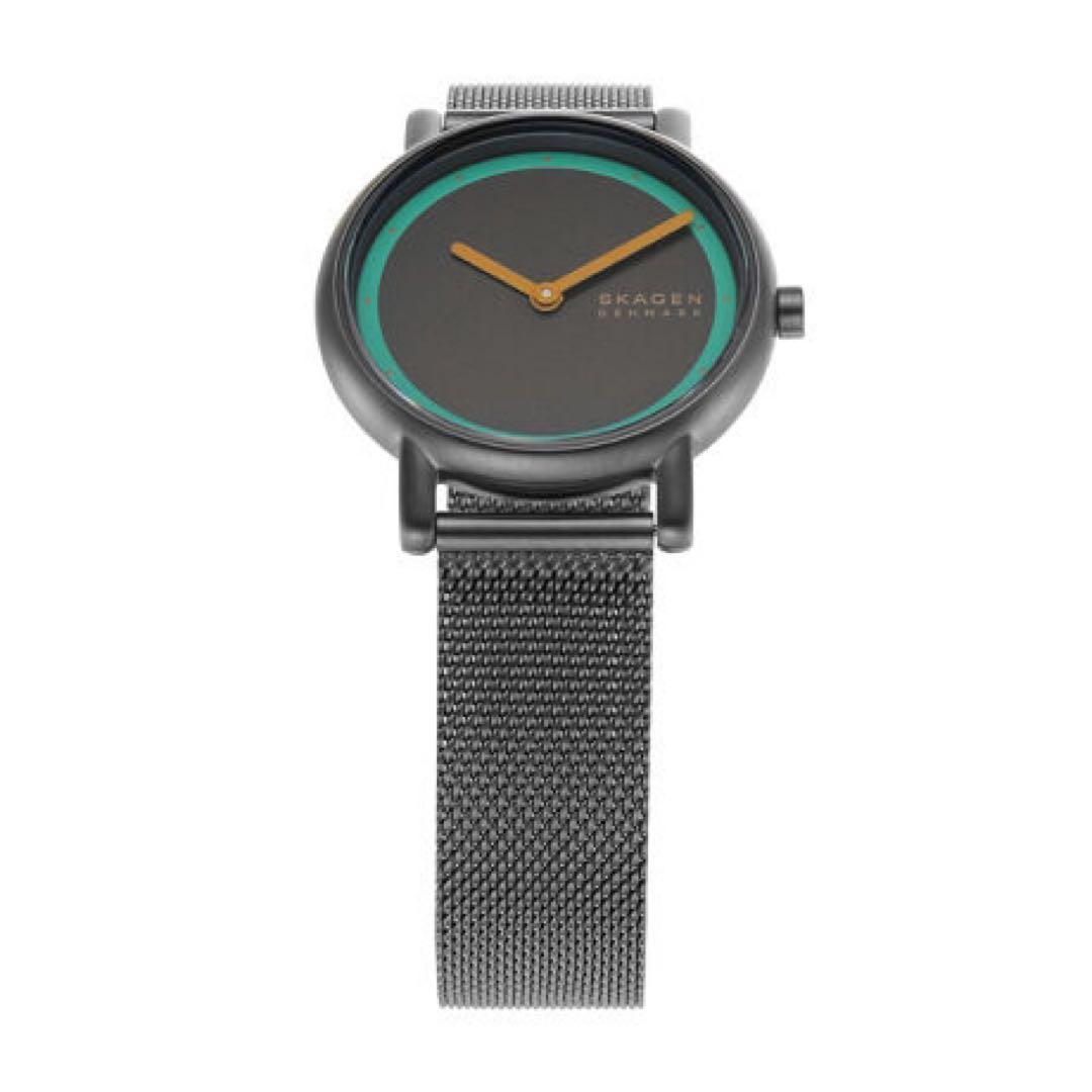 SKAGEN スカーゲン SIGNATUR LILLE SKW3118