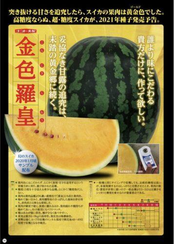 あや様専用熊本県産すいか5L 玉(10kg〜)×2玉 金色羅皇 果物