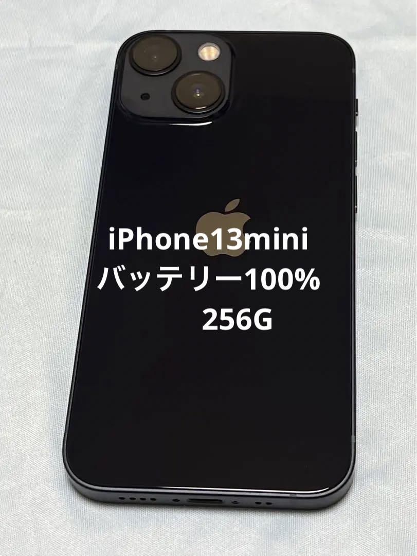 iPhone 13 mini ミッドナイト 256 GB docomo