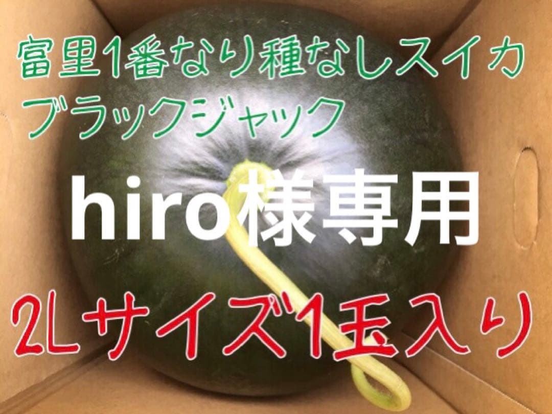 送料無料キャンペーン?】 hiro様専用富里1番なり種無しスイカブラック