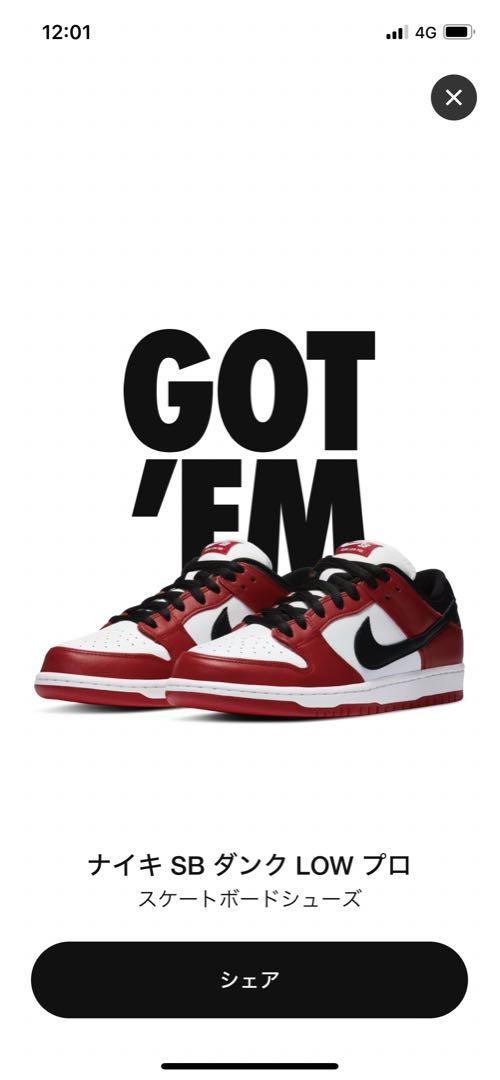 Nike SB Dunk Low Pro \